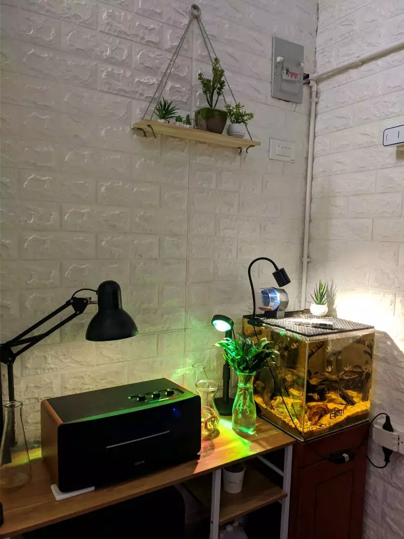 Loa Bluetooth Âm Thanh Mạnh Mẽ EDIFIER D12 70W Để Bàn - Hỗ Trợ AUX/RCA - Vỏ Gỗ Giảm Cộng Hưởng - 15 Tháng Bảo Hành