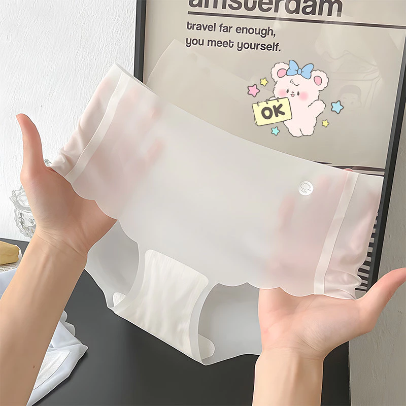 Combo 5- 10 Quần Lót Nữ Tàng Hình - Giải Pháp Cho Mọi Trang Phục
