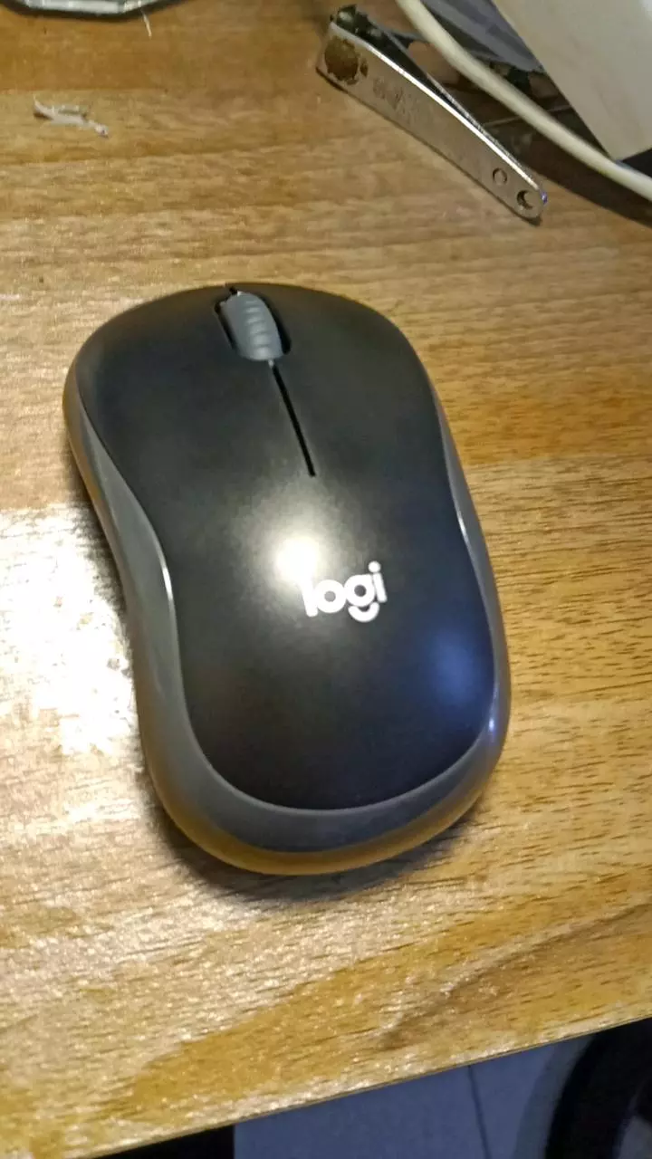 Chuột không dây Logitech B175 - USB 2.4Ghz, pin 1 năm, nhỏ gọn, thuận cả 2 tay, phù hợp PC/Laptop