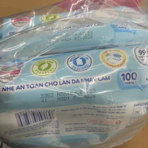 Thùng 16 Gói Khăn ướt Bobby không mùi 100 miếng/gói (Xanh)