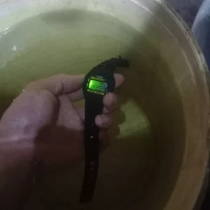 Đồng hồ điện tử WR F94WA 9DG chống nước bơi lội đi mưa thoải mái, Đồng hồ F94 dây nhựa huyền thoại.