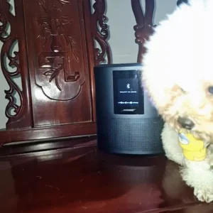 Loa Bose Home Speaker 500 [CHÍNH HÃNG] Kết Nối Wifi-Bluetooth-APPLE AirPlay 2 | Streaming Spotify | Thông Minh