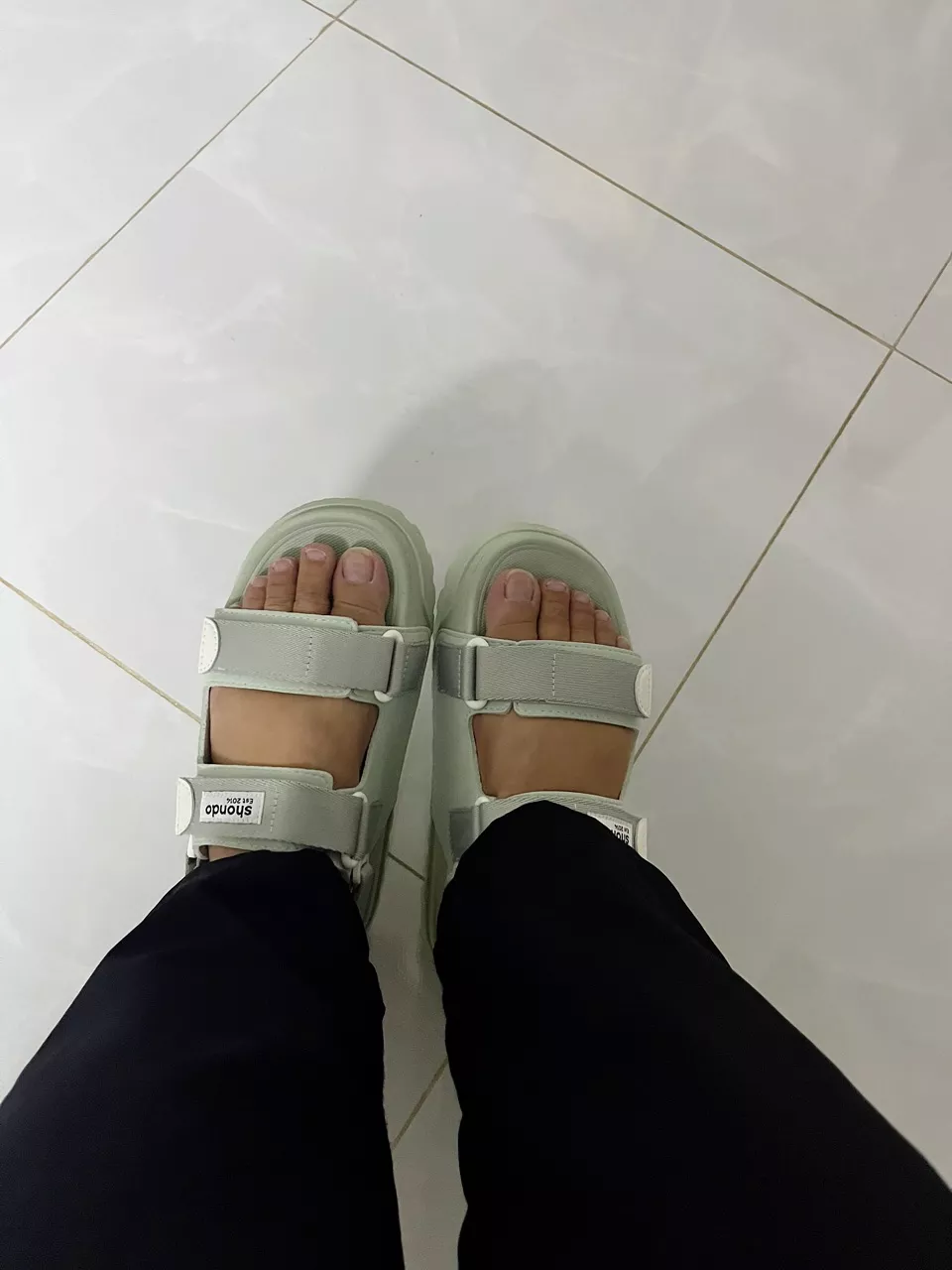 Giày Platy Nam Nữ SHONDO Êm, Thời Trang Thích Hợp Đi Làm, Đi Học Chơi Full Xanh Bơ Xám PLA2244