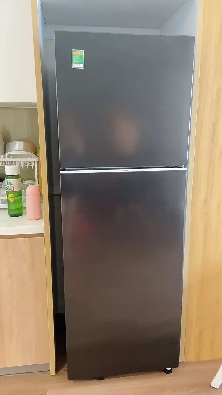 Tủ Lạnh Samsung Ngăn Đông Trên 305L RT31CG5424B1SV - Ngăn Đông Mềm 4 Chế Độ Optimal Fresh+, màu Đen