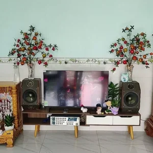 SMART Tivi FHD 43 Inch 43S3U+ Coocaa inch - tivi giá rẻ