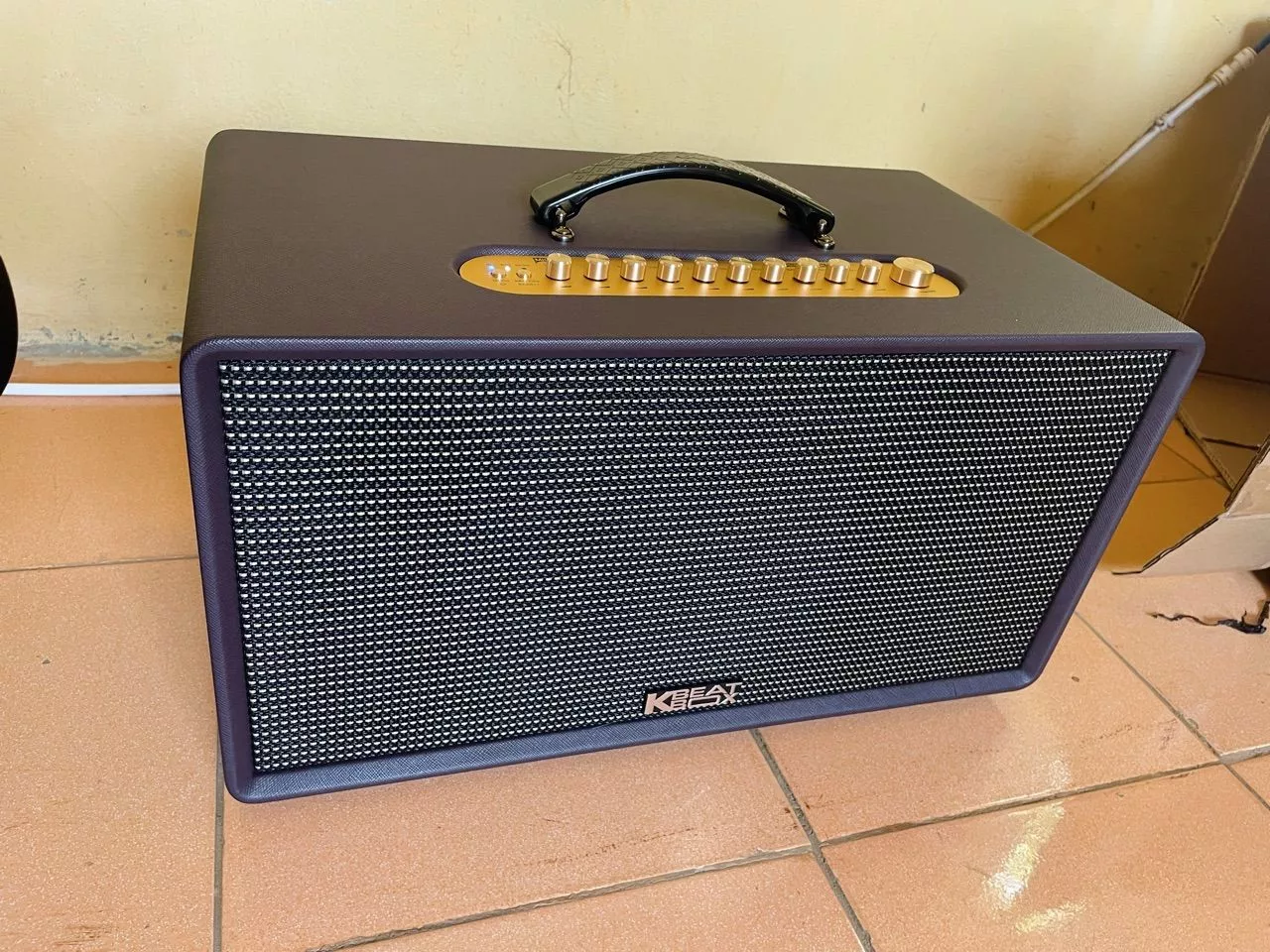 Loa Karaoke di động ACNOS CS201PLUS - Bass 20cm - Công suất 100W (RMS), Bảo hành 12 tháng