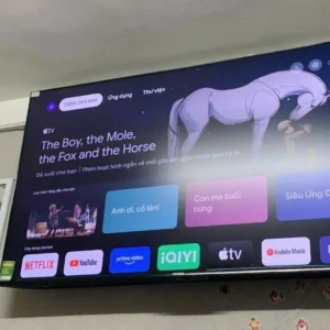 [Miễn phí lắp đặt HCM - HN] Google Tivi Qled+ 65 Inch - 65Y73 PRO Youtube Netfilx Smart TV