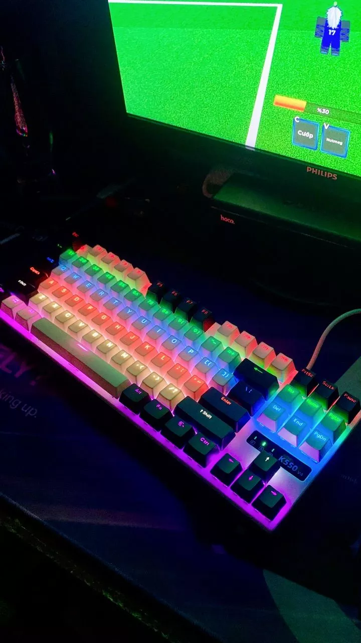 Bàn phím cơ Gaming Ziyou K550 V4 Red Switch TKL 87 phím, 10 chế độ Led, chống nước