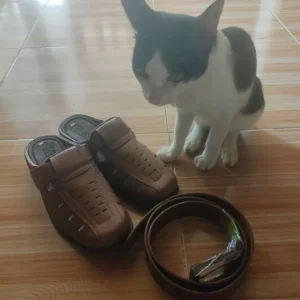 {KM Tặng Kèm Vớ Sịn} Giày Lười Nam Da Bò Thật DONAVY Kiểu Sa-Bo May Quai Xuống Đế Chắc Chắn, Có Lỗ Thoáng Khí D.GSB