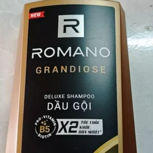 Tắm gội, dầu gôi, sữa tắm cho nam 2 trong 1 hương Nước hoa nam Romano 2in1 650g/chai