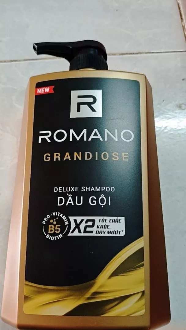 Tắm gội, dầu gôi, sữa tắm cho nam 2 trong 1 hương Nước hoa nam Romano 2in1 650g/chai