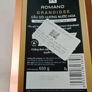 Tắm gội, dầu gôi, sữa tắm cho nam 2 trong 1 hương Nước hoa nam Romano 2in1 650g/chai