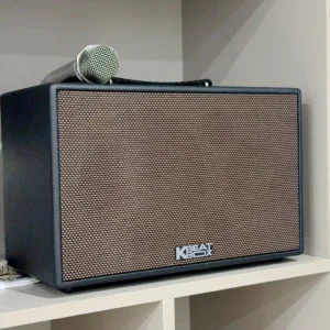Loa Karaoke di động ACNOS CS201PLUS - Bass 20cm - Công suất 100W (RMS), Bảo hành 12 tháng