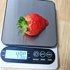 OOKAS Cân điện tử nhà bếp mini Scale độ chính xác cao,Cân Thực Phẩm Nguyên Liệu Làm Bánh Độ Chính Xác Cao
