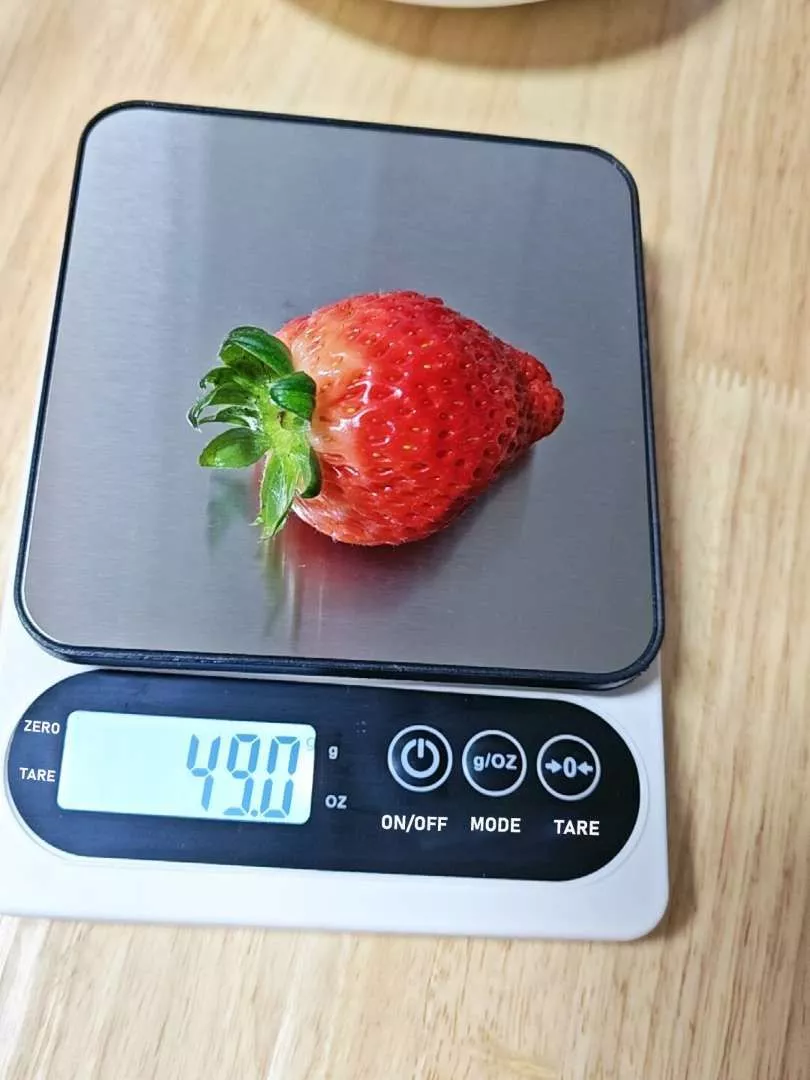 OOKAS Cân điện tử nhà bếp mini Scale độ chính xác cao,Cân Thực Phẩm Nguyên Liệu Làm Bánh Độ Chính Xác Cao