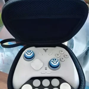 Túi Đựng Tay Cầm Chính Hãng Flydigi Cho Apex 5