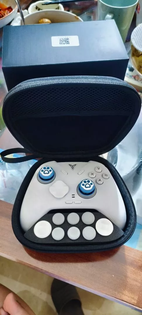 Túi Đựng Tay Cầm Chính Hãng Flydigi Cho Apex 5