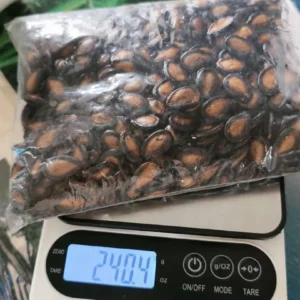 OOKAS Cân điện tử nhà bếp mini Scale độ chính xác cao,Cân Thực Phẩm Nguyên Liệu Làm Bánh Độ Chính Xác Cao