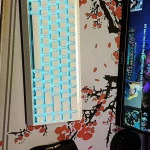 Bàn phím cơ Rapid Trigger Mchose ACE68 V2 - Poling Rate 8000hz - LED RGB - App marco - Hỗ trợ SOCD , RS , MT