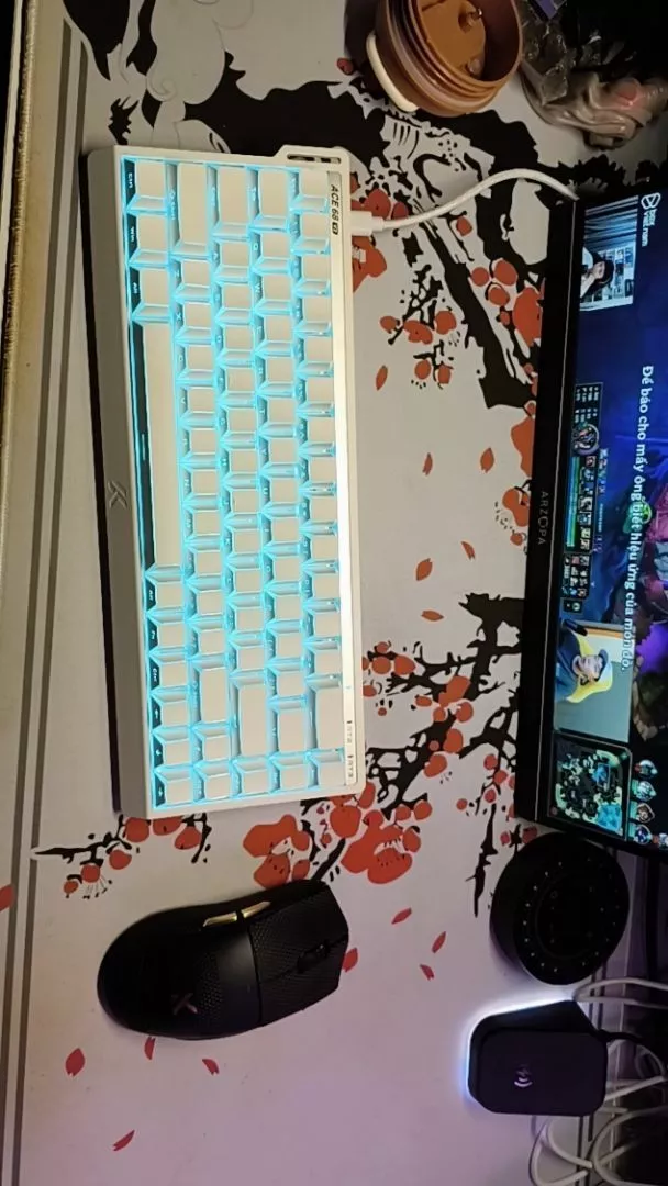 Bàn phím cơ Rapid Trigger Mchose ACE68 V2 - Poling Rate 8000hz - LED RGB - App marco - Hỗ trợ SOCD , RS , MT