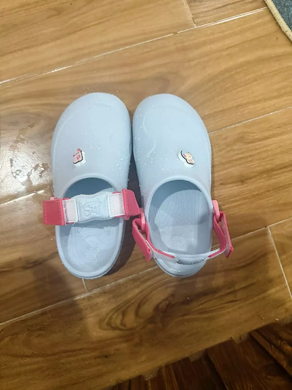 Dép Sục Bé Gái Shondo Clog Little Suke Gắn Charm Hình Thú Dễ Thương Nhiều Màu