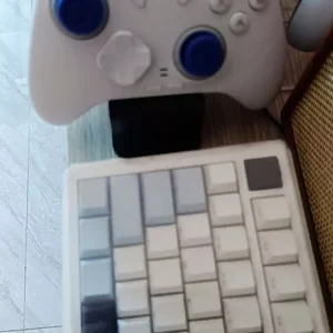 [Sẵn Hàng] Flydigi Direwolf 4 – Tay Cầm Chơi Game Polling Rate 1000Hz, Joystick Chỉnh Lực