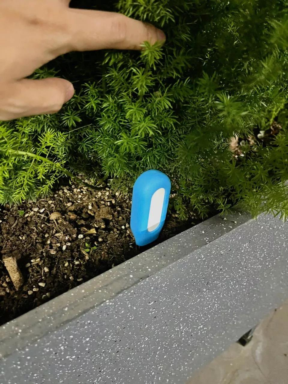 Cảm biến nhiệt độ - độ ẩm cho đất trồng Tuya Moes kết hợp tưới tự động, nhà thông minh