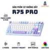 Bàn phím cơ không dây Royal Kludge RK R75 Pro - 3 mode - Mạch xuôi 5 pin - App Marco - LED RGB - Full Foam