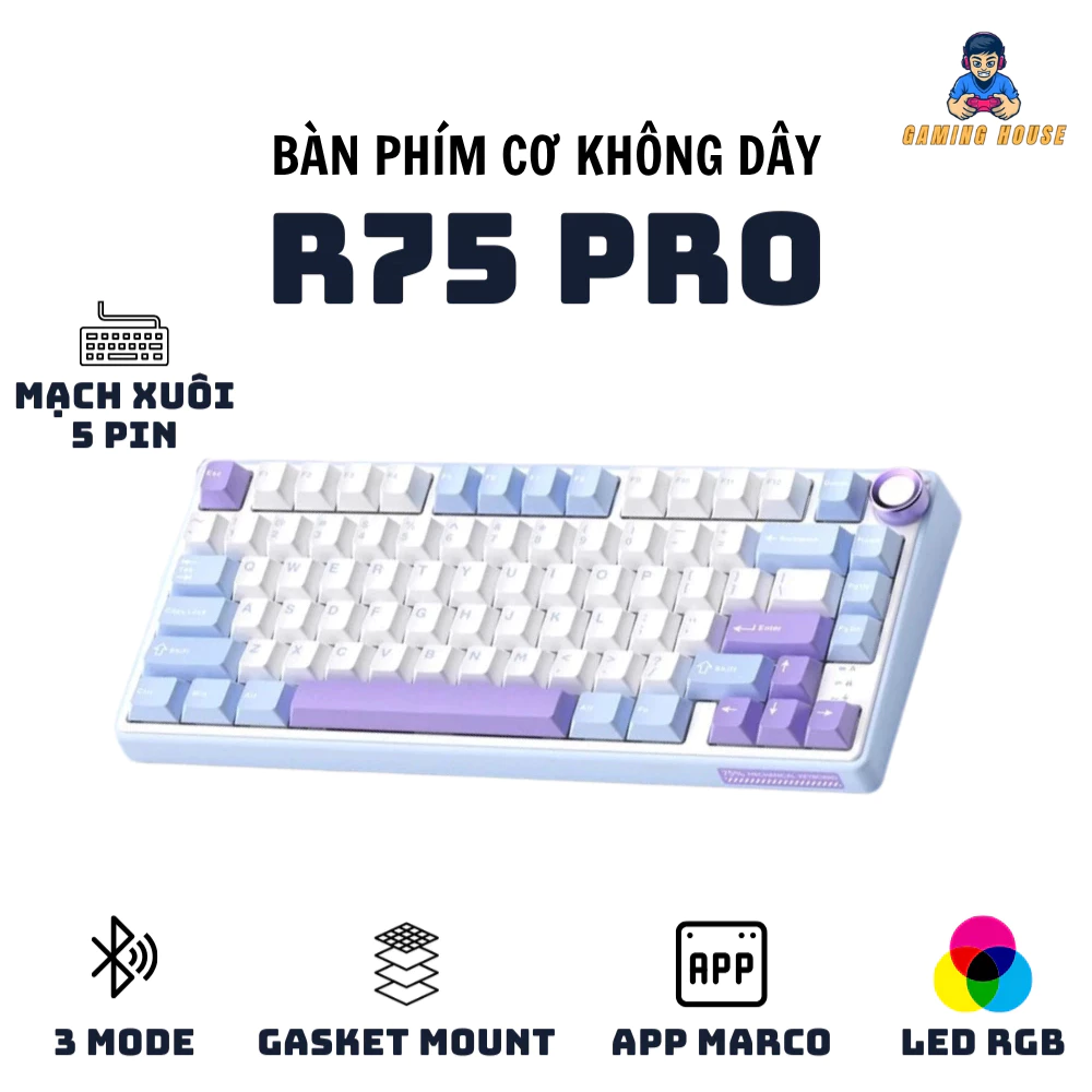 Bàn phím cơ không dây Royal Kludge RK R75 Pro - 3 mode - Mạch xuôi 5 pin - App Marco - LED RGB - Full Foam