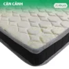 Nệm Cao Su Thiên Nhiên Nệm Sơn 10cm: Êm Ái & Nâng Đỡ Vượt Trội