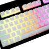 Keycap Bánh Pudding LED xuyên viền – Profile OEM – Chất liệu PBT cao cấp dành cho các dòng bàn phím