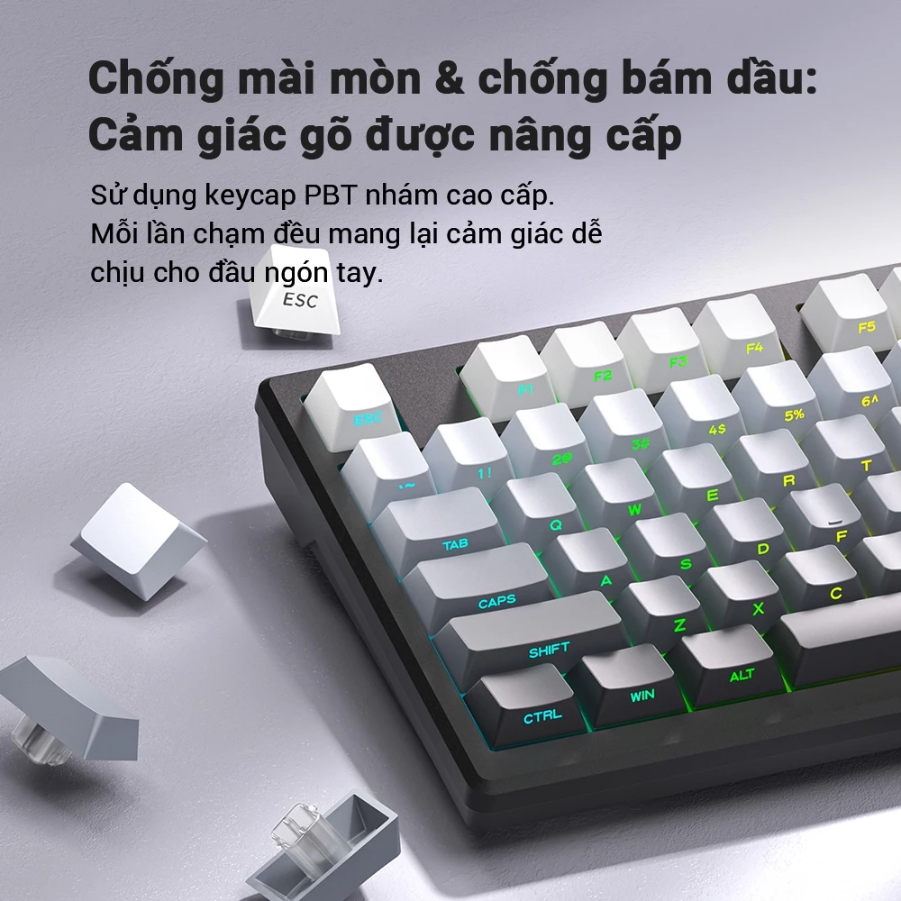 Bàn Phím IP75 75% - Keycap PBT, LED RGB & Núm Xoay AI Cao Cấp - Image 2