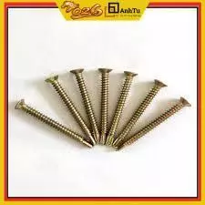 Vít vàng loại 3 phân(3cm)