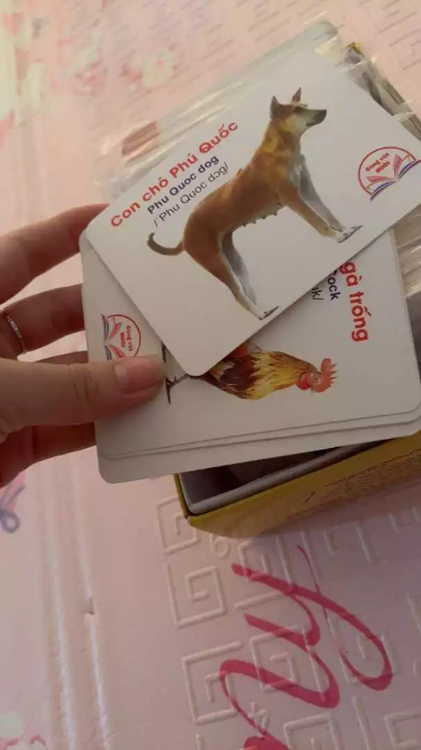 Bộ Thẻ Học Thông Minh Cho Bé 19 Chủ Đề Thẻ To Đẹp Chuẩn Glenn Doman Flashcard Dạy Trẻ Thế Giới Xung Quanh