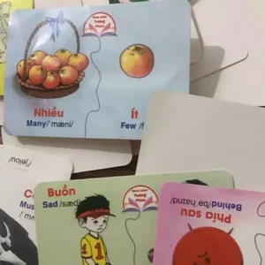 Bộ Thẻ Học Thông Minh Cho Bé 16 Chủ Đề - Cho Thẻ Song Ngữ Anh Việt Chuẩn Glenn Doman Flashcard Bé Từ 0-6 Tuổi