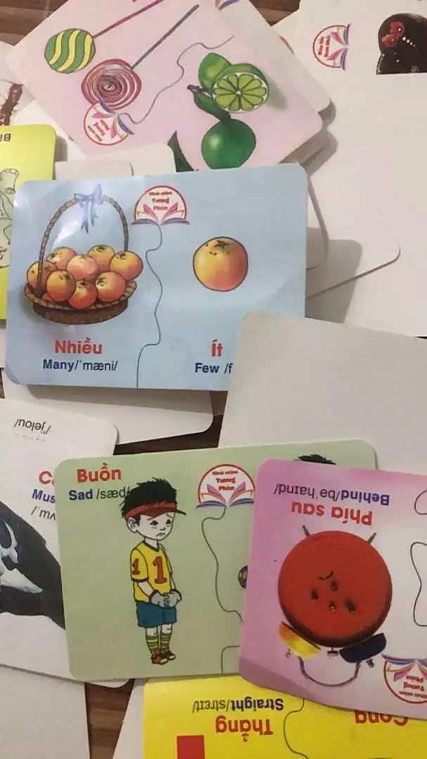 Bộ Thẻ Học Thông Minh Cho Bé 16 Chủ Đề - Cho Thẻ Song Ngữ Anh Việt Chuẩn Glenn Doman Flashcard Bé Từ 0-6 Tuổi